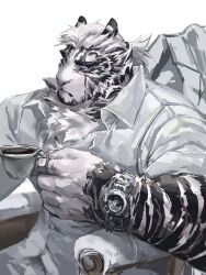 Rule 34 | 1boy, animal ears, arknights, ashu monster, bara, blue eyes, claws, cup, drink, furry, furry male, hashtag-only commentary, highres, holding, holding cup, holding drink, looking to the side, male focus, mountain (arknights), mountain (book reader) (arknights), multiple scars, on chair, ponytail, scar, scar across eye, scar on arm, scar on face, sitting, tiger boy, tiger ears, tiger stripes, watch, white background, wristwatch