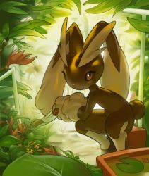 Rule 34 | 1girl, animal nose, black sclera, body fur, brown fur, closed mouth, colored sclera, creatures (company), dappled sunlight, dirt, female focus, flower, full body, furry, furry female, game freak, gardening, gen 4 pokemon, grass, hands up, happy, holding, inkune, leaning forward, lily pad, looking at viewer, lopunny, nature, nintendo, pink eyes, plant, pokemon, pokemon (creature), rabbit ears, rabbit girl, rabbit tail, red flower, sitting, smile, solo, spread legs, sunlight, tree, trowel, two-tone fur, yellow flower, yellow fur