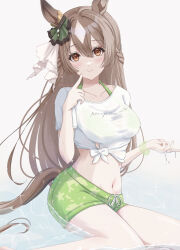 Rule 34 | 1girl, absurdres, animal ears, animal print, blush, braid, brown eyes, brown hair, closed mouth, commentary request, ear ornament, fish print, french braid, gaze on me! outfit (umamusume), green shorts, hair between eyes, highres, horse ears, horse girl, horse tail, mino (mii mt), multicolored hair, on ground, partially submerged, pointing, pointing at self, satono diamond (umamusume), scrunchie, shirt, shorts, sitting, smile, solo, streaked hair, tail, tied shirt, umamusume, wet, white background, white hair, wrist scrunchie, yokozuwari