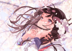 Rule 34 | 1girl, adjusting hair, branch, brown eyes, brown hair, cherry blossoms, commentary request, flower, highres, long hair, looking up, magnolia, original, parted lips, petals, sailor collar, school uniform, serafuku, shigure ui, solo