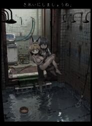 Rule 34 | 2girls, animal ears, carrying, completely nude, i love serval, inverted nipples, kaban (kemono friends), kemono friends, multiple girls, nipples, nude, princess carry, serval (kemono friends), shower (place), standing, standing on one leg, tail, wading, washing machine