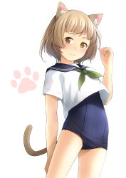 Rule 34 | 1girl, animal ears, blue one-piece swimsuit, blue sailor collar, brown eyes, brown hair, cat ears, cat girl, cat tail, closed mouth, commentary request, green neckerchief, hand up, highres, looking at viewer, neckerchief, old school swimsuit, one-piece swimsuit, original, sailor collar, school swimsuit, school uniform, serafuku, shibacha, shirt, short sleeves, simple background, solo, swimsuit, swimsuit under clothes, tail, white background, white shirt