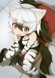 Rule 34 | 1girl, :o, aardwolf (kemono friends), aardwolf print, animal ears, bad id, bad pixiv id, bare shoulders, black hair, black necktie, black shorts, blurry, blurry background, brown eyes, chair, chromatic aberration, elbow gloves, extra ears, gloves, hair between eyes, highres, kemono friends, long hair, looking at viewer, multicolored hair, necktie, open mouth, pantyhose, pantyhose under shorts, ponytail, print gloves, print pantyhose, shirt, short shorts, shorts, sitting, sleeveless, sleeveless shirt, solo, tail, teranekosu, two-tone hair, white hair