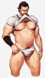 Rule 34 | 1boy, arcane: league of legends, areyoucracked, bad id, bad twitter id, bara, bare pectorals, beard, black hair, briefs, bulge, chest hair, clothes lift, erection, erection under clothes, facial hair, grey background, highres, large pectorals, league of legends, male focus, male pubic hair, male underwear, mature male, muscular, muscular male, navel, nipples, pectorals, pubic hair, shirt, shirt lift, short hair, simple background, solo, thick thighs, thighs, underwear, vander (arcane), white male underwear, white shirt