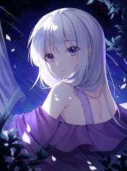 Rule 34 | 1girl, absurdres, bare shoulders, closed mouth, commentary request, curtains, dress, emilia (re:zero), flower, from behind, hair ornament, highres, hu qu, long hair, looking at viewer, looking back, night, night sky, off shoulder, plant, pointy ears, purple dress, purple eyes, re:zero kara hajimeru isekai seikatsu, shooting star, shoulder blades, silver hair, sky, solo, star (sky), starry sky, upper body