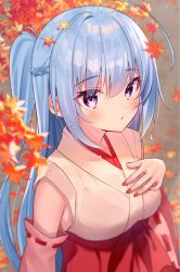 Rule 34 | 1girl, ahoge, autumn leaves, blue hair, blurry, blurry background, blurry foreground, blush, braid, breasts, commentary request, depth of field, detached sleeves, gyozanuko, hair between eyes, hakama, hakama skirt, hand on own chest, hand up, highres, japanese clothes, kimono, leaf, leaf on head, long hair, long sleeves, looking at viewer, maple leaf, medium breasts, miko, nail polish, original, parted lips, ponytail, purple eyes, red hakama, red nails, ribbon-trimmed sleeves, ribbon trim, skirt, sleeveless, sleeveless kimono, solo, very long hair, white kimono, white sleeves, wide sleeves