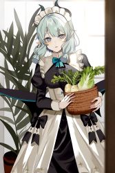 Rule 34 | 1girl, :d, basket, black dress, blue bow, blue bowtie, blue hair, blush, bow, bowtie, chiemo (xcem), daikon, dress, highres, holding, holding basket, horns, indoors, juliet sleeves, lettuce, long hair, long sleeves, looking at viewer, maid, maid headdress, open mouth, original, plant, pointy ears, potted plant, puffy sleeves, radish, sleeve cuffs, slit pupils, smile, solo, two-tone dress, white dress