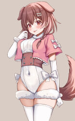 Rule 34 | 1girl, absurdres, animal ears, blush, bone hair ornament, braid, breasts, brown eyes, brown hair, covered navel, dog ears, dog girl, dog tail, elbow gloves, gloves, hair between eyes, hair ornament, highres, hololive, inugami korone, long hair, looking at viewer, nootomo, smile, solo, tail, thighhighs, tongue, tongue out, twin braids, virtual youtuber, white gloves, white thighhighs