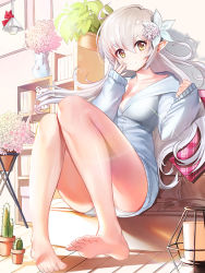 Rule 34 | 1girl, barefoot, blush, bookshelf, breasts, cactus, cleavage, closed mouth, damda, feet, flower, hair flower, hair ornament, indoors, large breasts, looking at viewer, original, plant, pointy ears, potted plant, silver hair, sitting, smile, solo, vase, yellow eyes