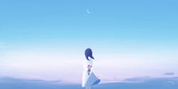 Rule 34 | 1girl, ahoge, amenomori howa, arms behind back, black hair, braid, child, cloud, commentary, crescent moon, dress, dusk, flower, from behind, highres, holding, holding flower, looking afar, moon, original, petals, scenery, signature, sky, solo, twin braids, white dress, wind
