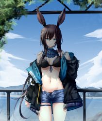 Rule 34 | 1girl, absurdres, amiya (arknights), animal ears, arknights, ascot, bare shoulders, bikini, black bikini, black jacket, blue ascot, blue eyes, blue shorts, blue sky, brown hair, cloud, commentary, cowboy shot, day, groin, hair between eyes, highres, jacket, long hair, long sleeves, looking at viewer, nash11, navel, ocean, off shoulder, open clothes, open fly, open jacket, rabbit ears, railing, short shorts, shorts, sky, solo, standing, stomach, swimsuit, thigh strap, thighs, very long hair