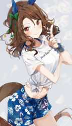 Rule 34 | 1girl, animal ears, arm under breasts, blue male swimwear, blue swim trunks, blush, bow, breasts, brown eyes, brown hair, closed mouth, cowboy shot, drawstring, ear bow, ear covers, floral print, gaze on me! outfit (umamusume), hand up, hibiscus print, horse ears, horse girl, horse tail, index finger raised, king halo (umamusume), long hair, looking at viewer, male swimwear, midriff, navel, ninjin nouka, one side up, print male swimwear, print swim trunks, print swimsuit, scrunchie, shirt, small breasts, smile, solo, swim trunks, swimsuit, tail, tied shirt, umamusume, white shirt, wrist scrunchie