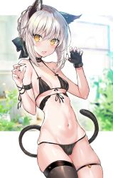 Rule 34 | 1girl, animal ears, artoria pendragon (all), artoria pendragon (fate), bare shoulders, bikini, black bikini, black gloves, blush, braid, breasts, cat ears, cat tail, collarbone, ero waifu, fang, fate/stay night, fate (series), fingerless gloves, french braid, gloves, long hair, looking at viewer, navel, open mouth, saber alter, sidelocks, silver hair, single glove, small breasts, swimsuit, tail, thighs, yellow eyes