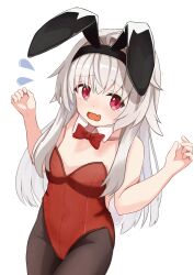 Rule 34 | 1girl, absurdres, animal ears, arms at sides, breasts, clara (honkai: star rail), collarbone, commentary request, elumina1213, fake animal ears, grey hair, groin, hair between eyes, headband, highres, honkai: star rail, honkai (series), leotard, looking at viewer, open mouth, pantyhose, playboy bunny, red eyes, ribbon, simple background, small breasts, white background