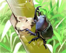 animal animal_focus beetle branch bug day hoof_de_peet insect leaf no_humans original outdoors rhinoceros_beetle