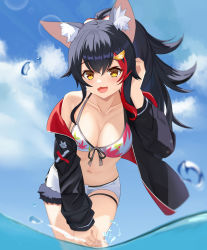 Rule 34 | 1girl, absurdres, animal ear fluff, animal ears, bad id, bad pixiv id, bikini, bikini under clothes, black hair, breasts, commentary, highres, hololive, jacket, jiang ye kiri, leaf print, maple leaf print, multicolored hair, ookami mio, ookami mio (hololive summer 2019), red hair, streaked hair, swimsuit, tail, tail around own leg, tail wrap, virtual youtuber, wading, wolf ears, wolf girl, wolf tail