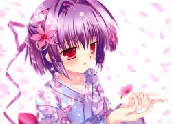 Rule 34 | 1girl, absurdres, beads, blush, cherry blossoms, close, collarbone, floral print, flower, hair beads, hair flower, hair intakes, hair ornament, hairclip, half updo, hands up, highres, japanese clothes, kimono, lace, looking away, mikeou, original, parted lips, petals, pink chuchu, purple hair, red eyes, short hair, solo, upper body, wide sleeves