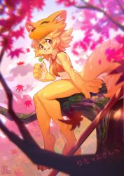 Rule 34 | 1girl, bell, blonde hair, body fur, bottomless, breasts, closed mouth, commentary request, commission, dango, eating, falling leaves, food, fox girl, fox hat, full body, furrification, furry, furry female, halterneck, highres, inuki (aruurara), leaf, looking at viewer, maple leaf, moonlight flower, moss, ragnarok online, red eyes, short hair, signature, sitting, sitting on branch, skeb commission, small breasts, solo, staff, tree, wagashi