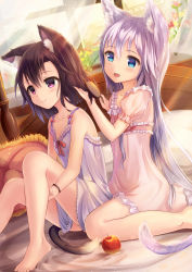 Rule 34 | 2girls, :d, absurdres, animal ears, apple, babydoll, barefoot, bed, blue eyes, blush, brown hair, brushing hair, cat ears, cat girl, cat tail, chemise, curtains, dutch angle, female focus, flower, food, frills, fruit, hair brush, hand in own hair, heart, highres, holding, holding brush, indoors, long hair, multiple girls, neck ribbon, nightgown, open mouth, original, own hands together, pillow, plant, puffy short sleeves, puffy sleeves, purple eyes, ribbon, sakura ani, short hair, short sleeves, silver hair, sitting, sleeveless, smile, tail, transparent, very long hair, wariza, window