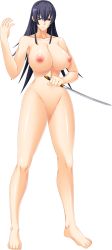 Rule 34 | 1girl, barefoot, black hair, breasts, breasts out, censored, full body, highres, holding, holding weapon, long hair, mosaic censoring, nipples, nude, solo, standing, suzaku, tagme, toes, weapon