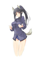 Rule 34 | 1girl, :o, animal ears, black hair, blush, breasts, brown eyes, cowboy shot, hattori shizuka, highres, large breasts, long hair, looking at viewer, military, military uniform, oi ke, ponytail, school swimsuit, solo, strike witches, swimsuit, swimsuit under clothes, tail, thigh gap, uniform, white background, world witches series