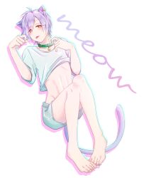 Rule 34 | 1boy, a3!, absurdres, animal ears, bell, cat boy, cat ears, cat tail, clothes lift, collar, earrings, grey shorts, highres, ikaruga misumi, jewelry, jijii (chang g), navel, open clothes, open shirt, orange eyes, purple hair, shirt, shirt lift, short hair, shorts, solo, stomach, tail, tongue, tongue out, white shirt