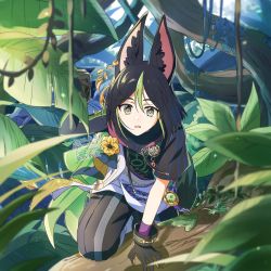 Rule 34 | 1boy, animal ear fluff, animal ears, arm up, artist name, asymmetrical sleeves, black gloves, black hair, black pants, black shirt, blunt ends, branch, bright pupils, brown eyes, cape, commentary request, dated, drawstring, earrings, flower, forest, fox ears, genshin impact, gloves, green cape, green eyes, green hair, hair between eyes, highres, hood, hood down, hoodie, jewelry, kimako (kimako 8), leaf, light particles, long sleeves, looking at viewer, male focus, medal, moss, multicolored clothes, multicolored eyes, multicolored hair, nature, open mouth, outdoors, pants, plant, shirt, short hair, short sleeves, sidelocks, signature, single earring, solo, tassel, tighnari (genshin impact), tree, twitter username, two-tone hair, vines, vision (genshin impact), watermark, white pupils, wrist cuffs, yellow flower