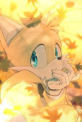 Rule 34 | 1boy, animal ears, animal nose, autumn leaves, banri 0917, blue eyes, body fur, closed mouth, commentary request, fox boy, fox ears, furry, furry male, gloves, head rest, highres, hood, hood down, hoodie, korean commentary, leaf, leaf on head, long sleeves, looking at viewer, male focus, solo, sonic (series), tails (sonic), upper body, white gloves, yellow hoodie
