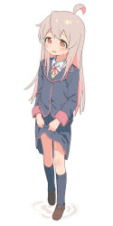 Rule 34 | 1girl, ahoge, blazer, blue jacket, blue skirt, blue socks, blush, brown eyes, brown footwear, clothes lift, colored inner hair, commentary request, crying, crying with eyes open, flat chest, full body, highres, jacket, kneehighs, lifting own clothes, light brown hair, loafers, long hair, matanukinuki, medium skirt, multicolored hair, neck ribbon, onii-chan wa oshimai!, open mouth, oyama mahiro, pee, peeing, peeing self, pink hair, pleated skirt, puddle, red ribbon, ribbon, shirt, shoes, simple background, skirt, skirt lift, socks, solo, standing, tears, two-tone hair, white background, white shirt