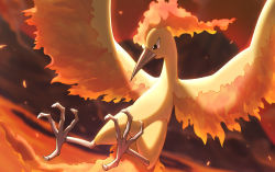 Rule 34 | bird, blurry, blurry background, brown eyes, closed mouth, commentary request, creatures (company), game freak, gen 1 pokemon, legendary pokemon, lava, moltres, naoki eguchi, nintendo, no humans, outdoors, pokemon, pokemon (creature), solo, talons