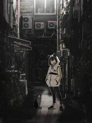 Rule 34 | 1girl, air conditioner, alley, animal ears, black pants, building, canopy (shelter), cat, cat ears, cat girl, cat tail, commentary, fangs, film grain, hair between eyes, hands in pockets, haru akira, highres, hood, hood up, jacket, long hair, long sleeves, looking at viewer, open mouth, original, pants, scenery, sidelocks, sign, slit pupils, solo, standing, tail, translation request, white jacket, window, yellow eyes, yoga pants