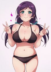 Rule 34 | 1girl, aqua eyes, bikini, black bikini, blush, breasts, cleavage, collarbone, cowboy shot, double v, halterneck, large breasts, long hair, looking at viewer, love live!, love live! school idol project, low twintails, navel, pink background, purple hair, smile, solo, sparkle, swimsuit, tojo nozomi, turkey min, twintails, v