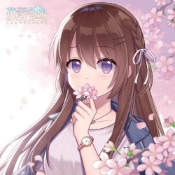 Rule 34 | 1girl, blue jacket, blurry, blurry background, blurry foreground, blush, braid, branch, breasts, brown hair, character request, commentary request, copyright name, depth of field, flower, hair between eyes, hair ornament, hair ribbon, hairclip, hand up, hitsuki rei, holding, holding flower, jacket, jacket on shoulders, long hair, looking at viewer, petals, pink flower, purple eyes, ribbon, shirt, small breasts, snowdreams -lost in winter-, solo, taiwan, upper body, watch, white ribbon, white shirt, wristwatch