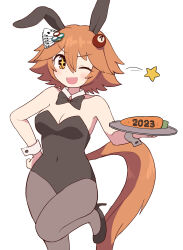 Rule 34 | + +, 1girl, 2023, alternate costume, animal ears, bare shoulders, black bow, black bowtie, black footwear, black leotard, black pantyhose, blush, bow, bowtie, breasts, carrot, commentary request, detached collar, ear covers, fake animal ears, flipped hair, food, hair between eyes, hair ornament, hand on own hip, high heels, highres, holding, holding tray, horse ears, horse girl, horse tail, leg up, leotard, looking at viewer, matikanefukukitaru (umamusume), medium breasts, nontraditional playboy bunny, one eye closed, open mouth, orange hair, pantyhose, playboy bunny, rabbit ears, short hair, simoyuki, simple background, smile, solo, star (symbol), strapless, strapless leotard, tail, tray, umamusume, white background, wrist cuffs, yellow eyes