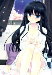 Rule 34 | 10s, 1girl, :d, absurdres, black hair, blue eyes, blue sky, breasts, cherry blossoms, cloud, collarbone, cup, curtains, dress shirt, highres, indoors, knees up, long sleeves, miyasu risa, no bra, open clothes, open mouth, open shirt, panties, pantyhose, pantyshot, parted lips, petals, pink panties, scan, shirt, sitting, sky, smile, touma kazusa, underwear, white album (series), white album 2, wind, window