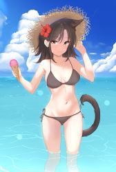 Rule 34 | 1girl, absurdres, adjusting clothes, adjusting headwear, alan (acealan5), animal ears, arknights, bare arms, bare shoulders, bikini, black bikini, black hair, blue sky, breasts, brown eyes, cat ears, cat tail, cloud, commentary, day, feet out of frame, flower, food, groin, hair flower, hair ornament, hands up, hat, hibiscus, highres, holding, holding food, ice cream, long hair, looking at viewer, medium breasts, navel, outdoors, red flower, side-tie bikini bottom, sky, skyfire (arknights), smile, solo, standing, stomach, sun hat, swimsuit, tail, thighs, wading, water