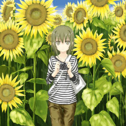 Rule 34 | camera, flower, nabeshima tetsuhiro, solo, striped, sunflower, tagme