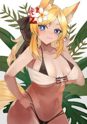 Rule 34 | 1girl, absurdres, animal ear fluff, animal ears, arknights, bandeau, bare arms, bare shoulders, bikini, black bikini, black ribbon, blonde hair, blue eyes, blush, breasts, commentary request, flower, grey background, hair flower, hair ornament, hair ribbon, hand up, haru torimaru, highres, large breasts, long hair, looking at viewer, navel, partial commentary, ribbon, solo, stomach, swimsuit, tail, upper body, whislash (arknights), white bikini, white flower