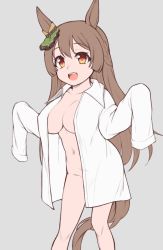 Rule 34 | 1girl, animal ears, breasts, brown eyes, brown hair, cleavage, commentary request, grey background, half updo, horse ears, horse girl, horse tail, large breasts, long sleeves, looking at viewer, navel, open mouth, satono diamond (umamusume), shirt, simple background, solo, tail, umamusume, white shirt, yuki to hana