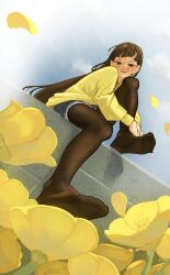 Rule 34 | 1girl, absurdres, aiharararara, blue shorts, blunt bangs, blush, brown eyes, brown hair, brown pantyhose, commentary, dutch angle, english commentary, feet, flower, foreshortening, highres, knee up, legs, long sleeves, looking at viewer, mixed-language commentary, no shoes, open mouth, original, outdoors, pantyhose, pantyhose under shorts, shirt, short shorts, shorts, signature, sitting, soles, teeth, thighs, toes, upper teeth only, yellow flower, yellow shirt