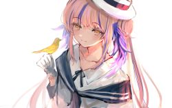 Rule 34 | 1girl, absurdres, arknights, bird, bird on hand, ceylon (arknights), collarbone, commentary, double bun, feather hair, gloves, hair bun, hat, highres, looking at animal, maria (syake-uni), multicolored hair, pink hair, sailor collar, shirt, sketch, smile, solo, streaked hair, upper body, white background, white gloves, white shirt, yellow eyes