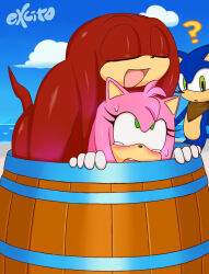 Rule 34 | 2boys, amy rose, barrel, cheating (relationship), excito, flustered, highres, implied anal, implied sex, knuckles the echidna, multiple boys, netorare, public indecency, question mark, sonic (series), sonic the hedgehog, stealth sex