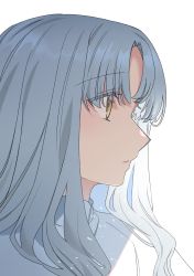 Rule 34 | 1girl, absurdres, caren hortensia, closed mouth, eyes visible through hair, fate/hollow ataraxia, fate (series), hair between eyes, highres, long hair, looking to the side, noko morokoshi, simple background, solo, sparkle, upper body, wavy hair, white background, white hair, yellow eyes