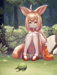 Rule 34 | 1girl, :3, :o, ahoge, animal ear fluff, animal ears, bag, beige skirt, bloomers, braid, brown hair, capelet, creature, dappled sunlight, egg hair ornament, food, food-themed hair ornament, forest, fox ears, fox girl, fox tail, french braid, frills, garter straps, grass, hair ornament, hands on own knees, highres, jacy, knees together feet apart, long sleeves, looking down, multicolored hair, nature, open mouth, orange eyes, original, outdoors, pancake, pigeon-toed, rock, shirt, sitting, solo, streaked hair, sunlight, tail, thighhighs, tree, underwear, white hair, white shirt, wing collar