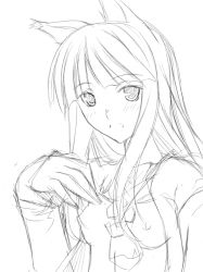 Rule 34 | 00s, 1girl, animal ears, breasts, greyscale, holo, medium breasts, monochrome, nipples, open clothes, open shirt, ribi, shirt, sketch, solo, spice and wolf, wolf ears