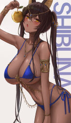Rule 34 | 1girl, absurdres, animal ears, ankh, apple, areola slip, arm up, armlet, armpit crease, bad id, bad pixiv id, bare arms, bare shoulders, bikini, biya (1024), blue bikini, blue gemstone, blush, bracer, breasts, brown hair, chain, character name, circlet, cleavage, commentary, cowboy shot, dark-skinned female, dark skin, food, fruit, gem, gold chain, golden apple, hair between eyes, highres, holding, holding food, holding fruit, jackal ears, jewelry, large breasts, leaf, leaning forward, long hair, looking at viewer, multi-strapped bikini, multiple necklaces, navel, necklace, open mouth, original, pendant, sibuna (biya (1024)), side-tie bikini bottom, sidelocks, simple background, solo, stomach, strap gap, string bikini, sweat, swimsuit, thighs, twintails, underboob, very long hair, white background, yellow eyes