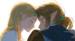 Rule 34 | 1boy, 1girl, blonde hair, blue eyes, blush, closed eyes, earrings, forehead-to-forehead, heads together, jewelry, ling5707, link, long hair, looking at another, nintendo, pointy ears, ponytail, princess zelda, profile, simple background, sketch, smile, the legend of zelda, the legend of zelda: tears of the kingdom, white background
