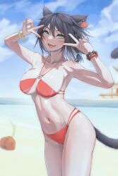 Rule 34 | 1girl, absurdres, animal ears, beach, bikini, black hair, blue eyes, blurry, bomb (final fantasy), bracelet, braid, breasts, brh, cat ears, cat tail, commentary request, depth of field, double v, earrings, fang, feet out of frame, final fantasy, final fantasy xiv, green eyes, heterochromia, highres, jewelry, large breasts, lipstick, looking at viewer, lower teeth only, makeup, midriff, miqo&#039;te, navel, o-ring, o-ring bikini, ocean, open mouth, pier, red bikini, scrunchie, short hair, single earring, smile, solo, swimsuit, tail, teeth, v, warrior of light (ff14), wrist scrunchie