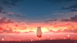 Rule 34 | 1girl, animal ears, cat ears, cat girl, cat tail, chinese commentary, cloud, commentary request, from behind, gradient sky, grass, highres, long hair, original, outdoors, rune xiao, scenery, signature, sky, standing, star (sky), starry sky, sunset, tail, white hair, wings