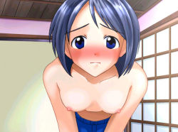 Rule 34 | blue eyes, blue hair, blush, breasts, looking at viewer, love hina, maehara shinobu, nipples, topless